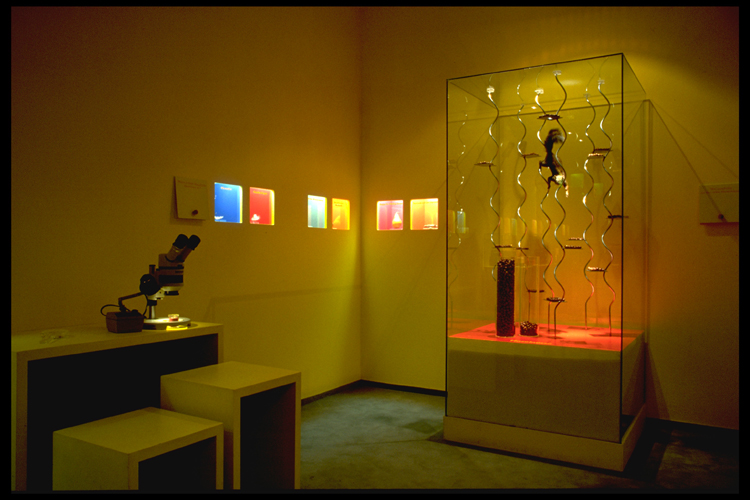 Bananenrot und Himbeerblau - Graz 1998