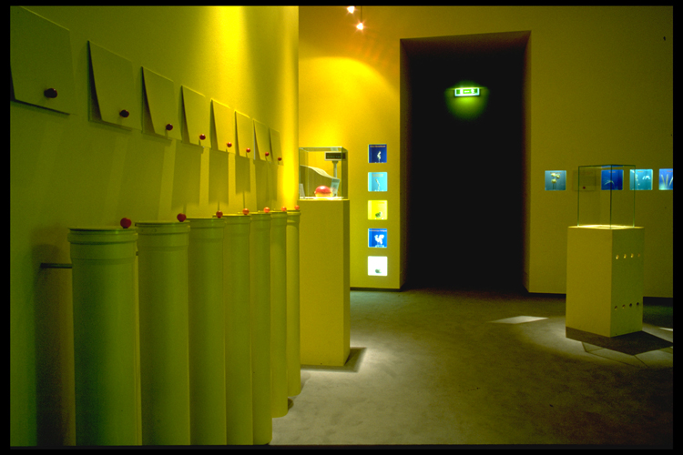 Bananenrot und Himbeerblau - Graz 1998