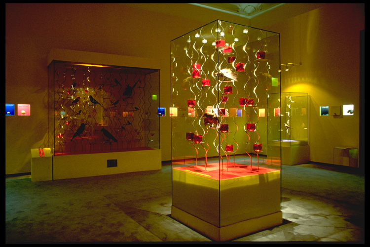 Bananenrot und Himbeerblau - Graz 1998