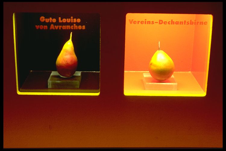 Bananenrot und Himbeerblau - Graz 1998
