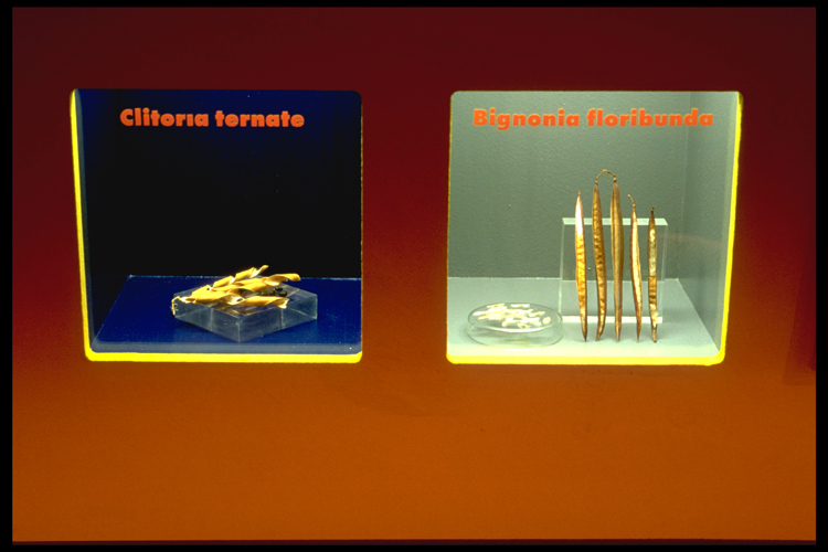 Bananenrot und Himbeerblau - Graz 1998