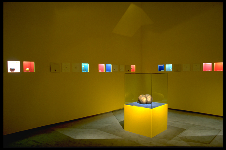 Bananenrot und Himbeerblau - Graz 1998
