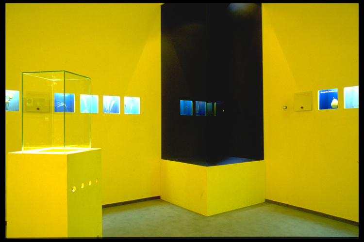 Bananenrot und Himbeerblau - Graz 1998
