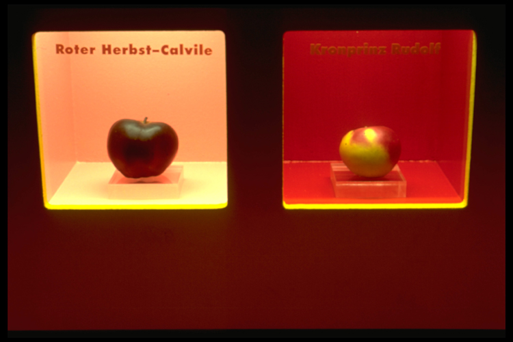 Bananenrot und Himbeerblau – Graz 1998