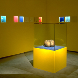 Ausstellungsgestaltung